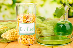 Newton Burgoland biofuel availability